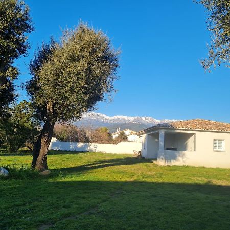 Location "Casa Monna" Lejlighed Prunelli-di-Fiumorbo Eksteriør billede