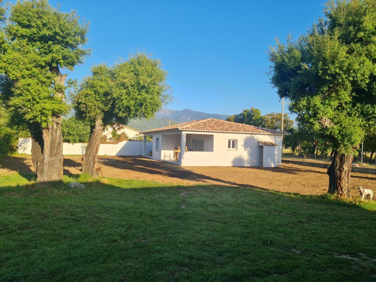 Location "Casa Monna" Lejlighed Prunelli-di-Fiumorbo Eksteriør billede