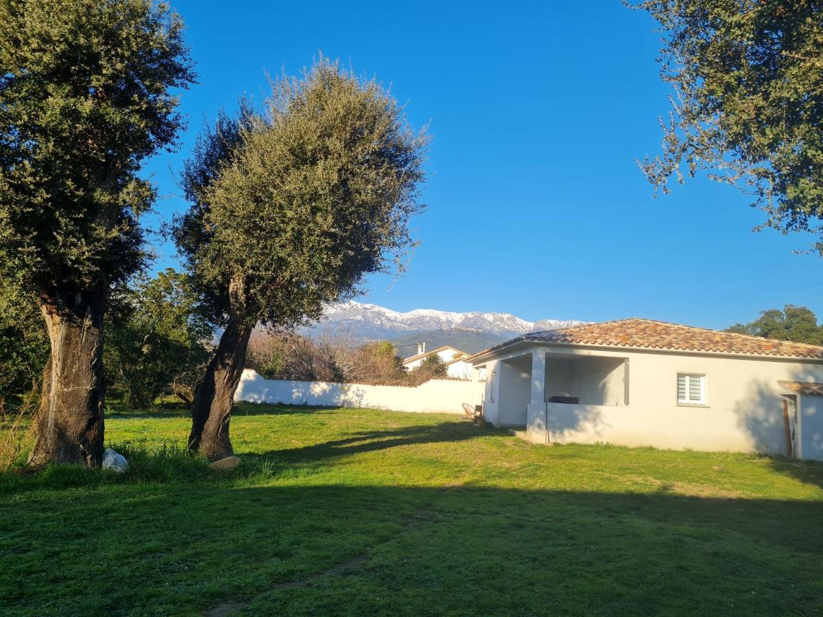 Location "Casa Monna" Lejlighed Prunelli-di-Fiumorbo Eksteriør billede